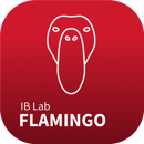 flamingo logo flamingo logo